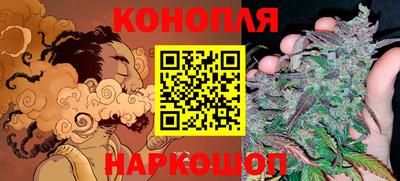 индика Ефремов