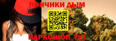 индика Ефремов