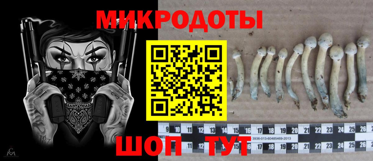 цена наркотик  Вход с VPN  Новоуральск  Галлюциногенные грибы Cubensis 